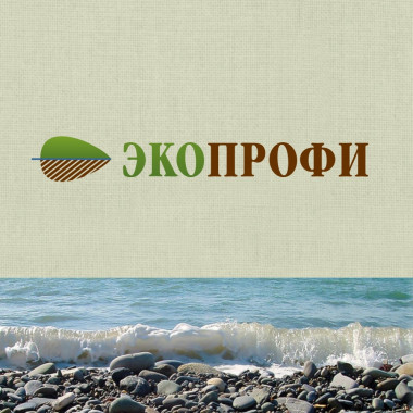 Информационный сайт для Пермской компании по экологическому сопровождению ЭкоПрофи