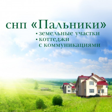 Разработка сайта-визитки для СНП Пальники