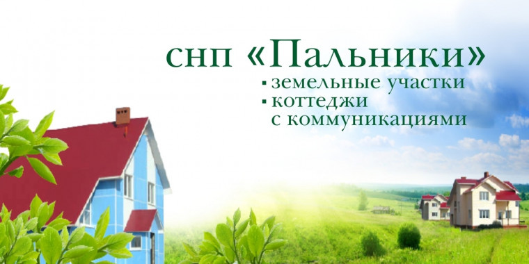 Разработка сайта-визитки для СНП Пальники