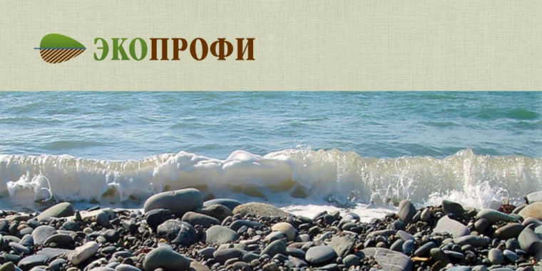 Информационный сайт для Пермской компании по экологическому сопровождению ЭкоПрофи